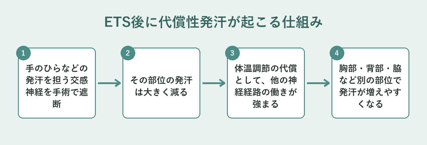 ETS後に代償性発汗が起こる仕組みの図解