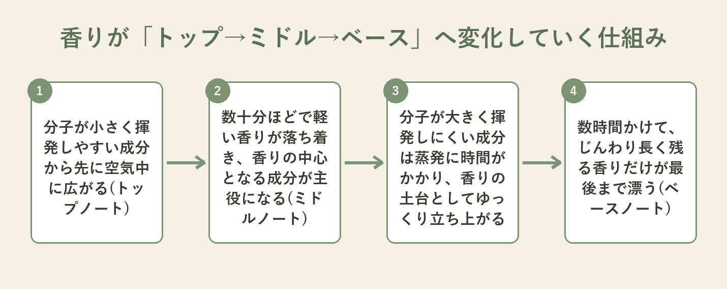 精油の香りがトップノートからミドルノート、ベースノートへと時間をかけて変化していく仕組みの図解