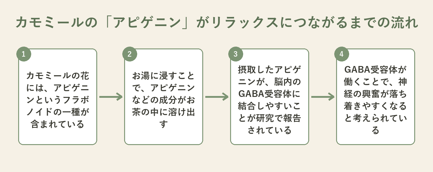 カモミールのアピゲニンがGABA受容体に作用してリラックスにつながる仕組みの図解