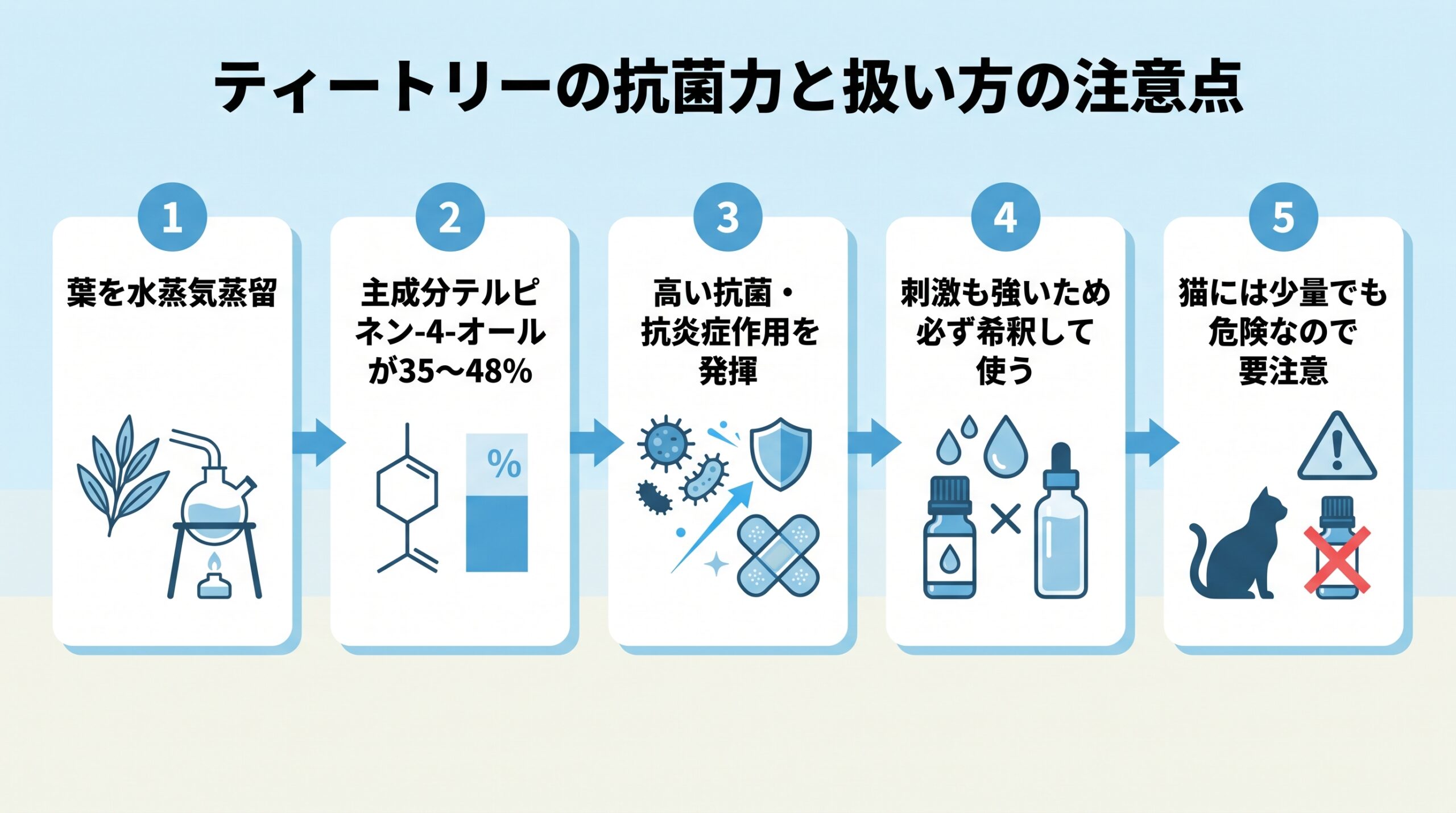 ティートリーの葉を水蒸気蒸留し、主成分テルピネン-4-オールが抗菌作用を発揮する一方、刺激も強いため希釈が必要で、猫には少量でも危険という注意点までの流れを示すフラットデザイン風の図解